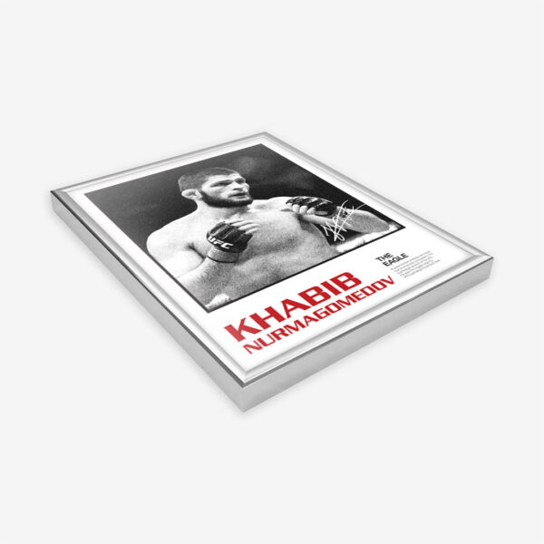 Khabib Nurmagomedov - Image 2